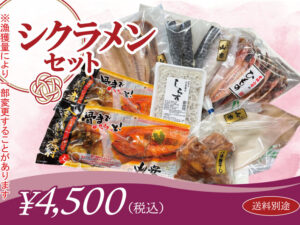 シクラメンギフトセット